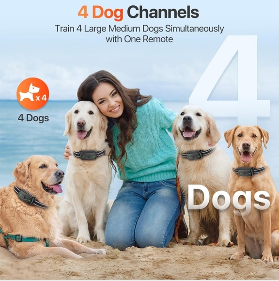 Dog Smart Bark Collar - Picture 4 of 6